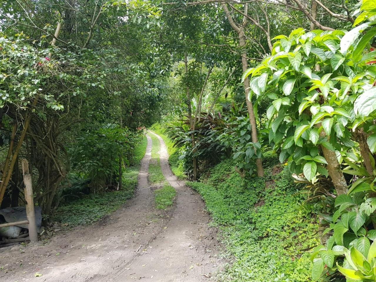 Chalets Huitaca โชอาชิ ภายนอก รูปภาพ